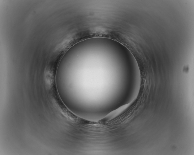 X0000090760708200707201503