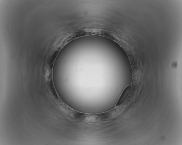 X0000090760709200707201503