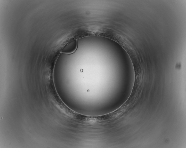 X0000090760710200707201503