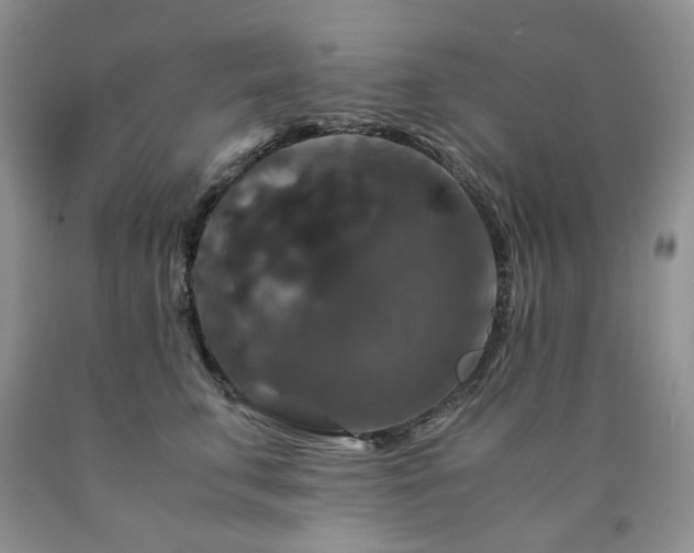 X0000090760711200707201503