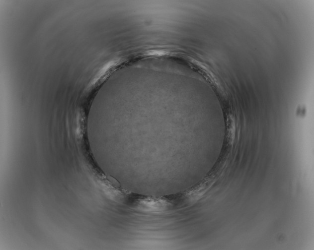 X0000090760712200707201503