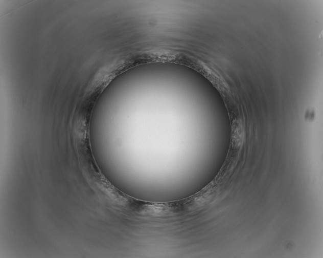 X0000090760713200707201503