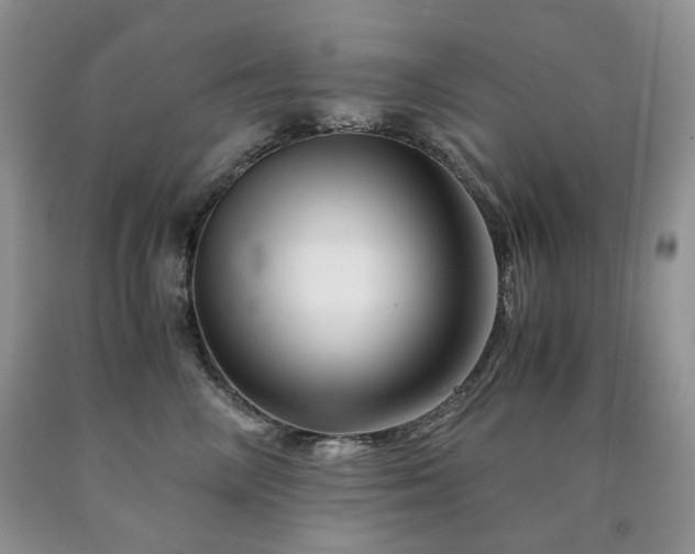 X0000090760714200707201503