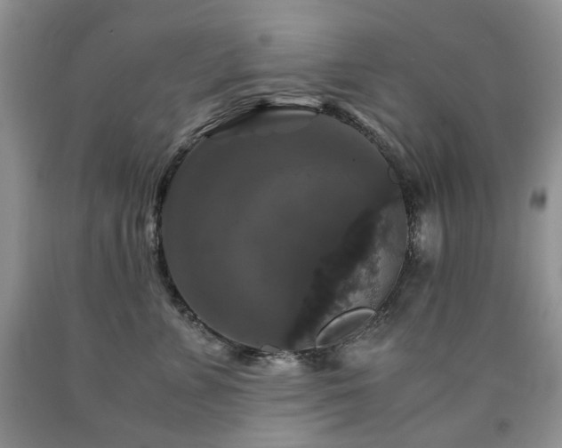 X0000090760715200707201503