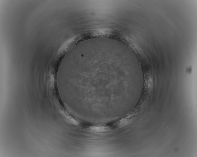 X0000090760716200707201503