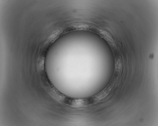 X0000090760717200707201503