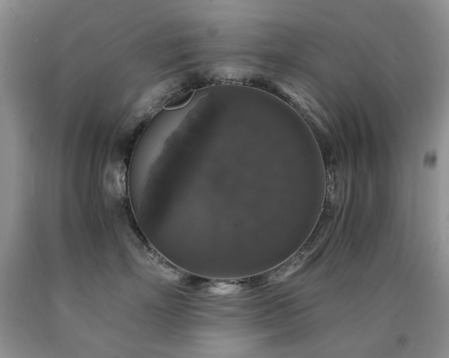 X0000090760718200707201503