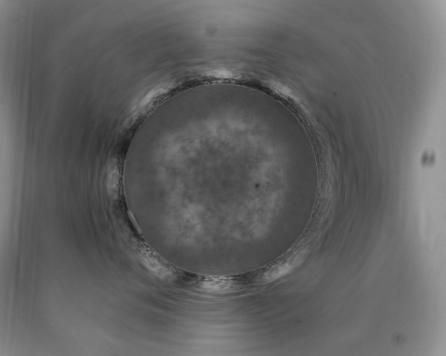 X0000090760720200707201503