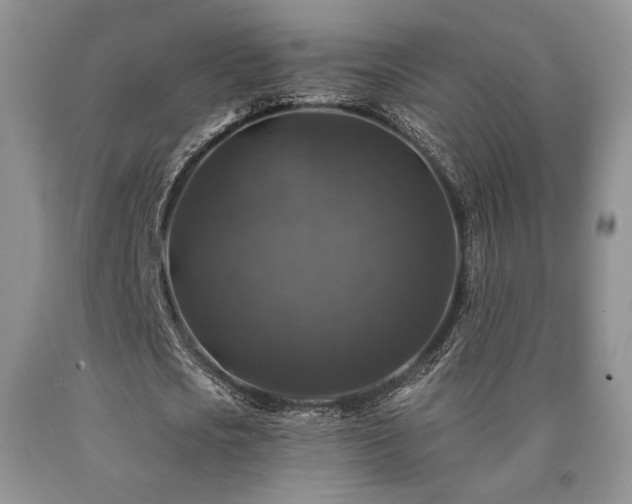 X0000090760721200707201503