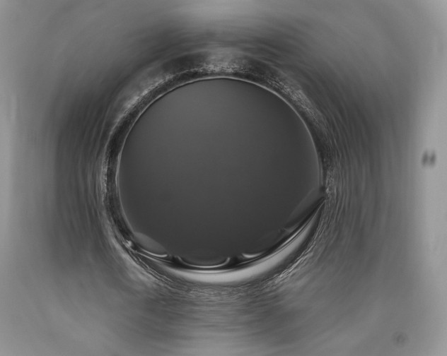 X0000090760722200707201503