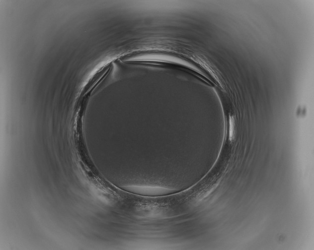 X0000090760723200707201503