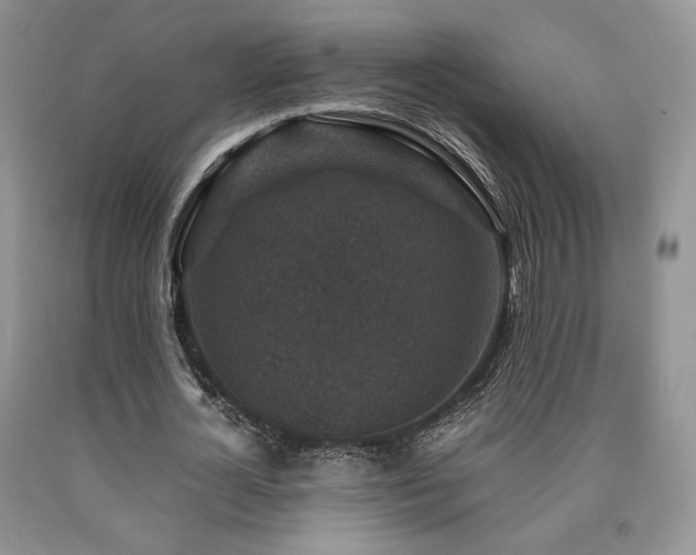 X0000090760724200707201503