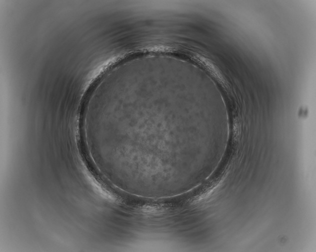 X0000090760725200707201503