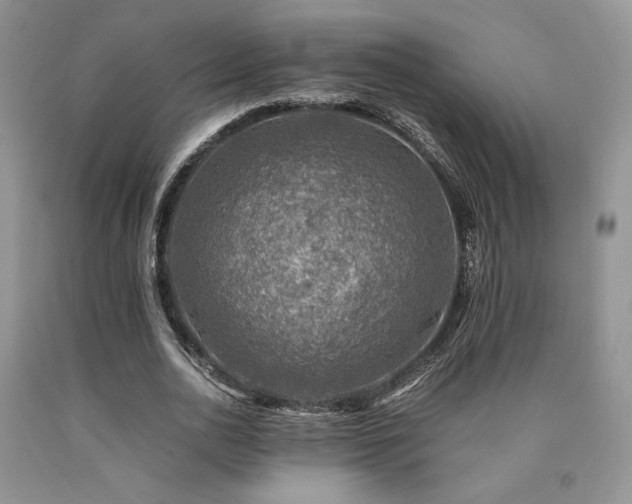 X0000090760726200707201503