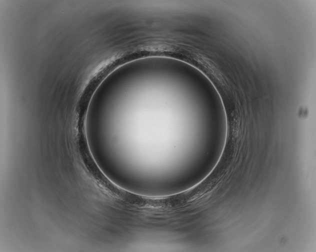 X0000090760727200707201503