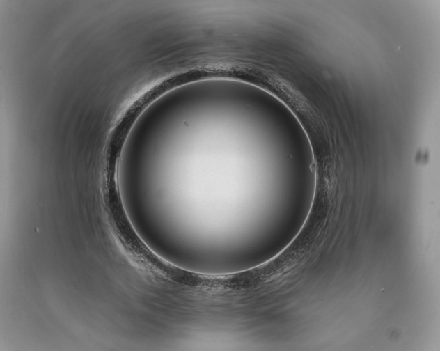 X0000090760728200707201503