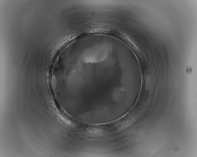 X0000090760729200707201503