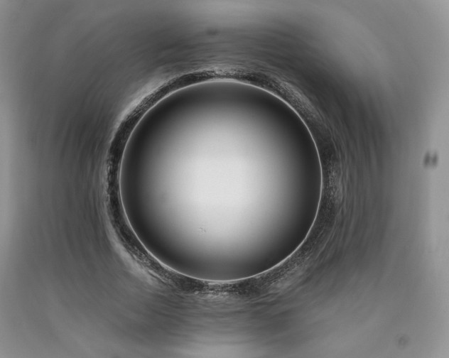 X0000090760730200707201503