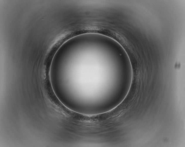 X0000090760731200707201503