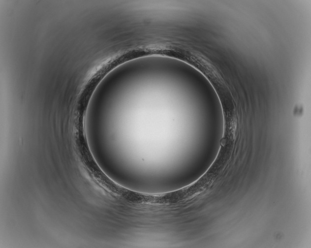 X0000090760732200707201503