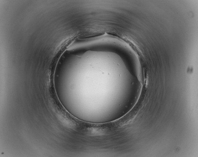 X0000090760733200707201503