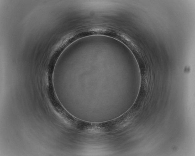 X0000090760734200707201503