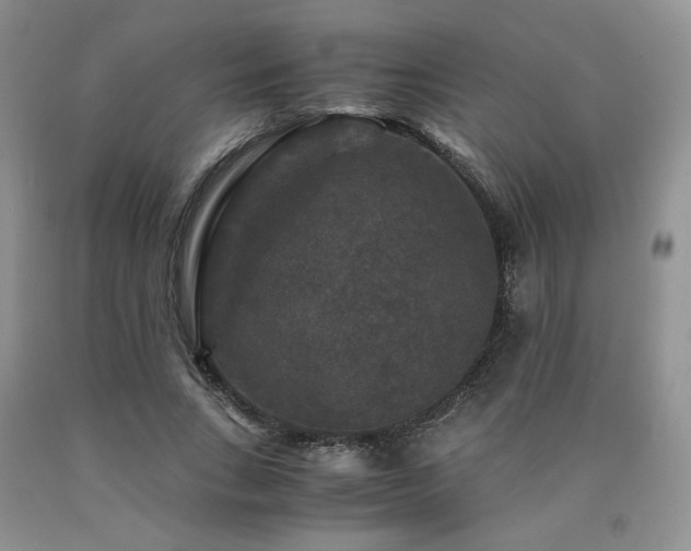 X0000090760735200707201503