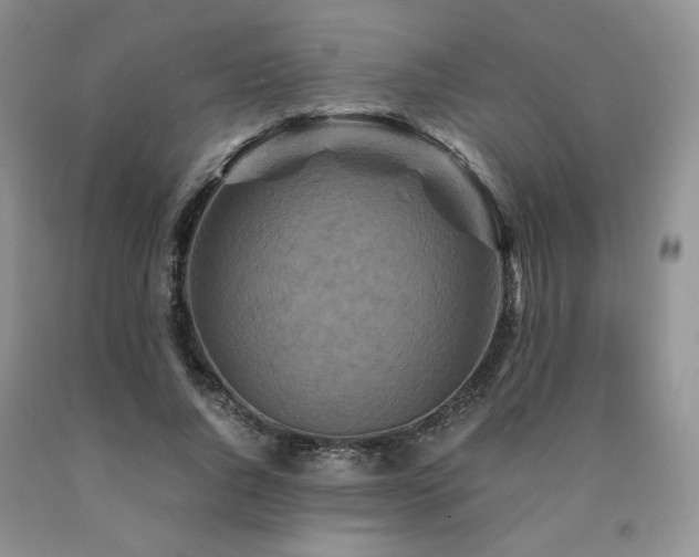 X0000090760736200707201503