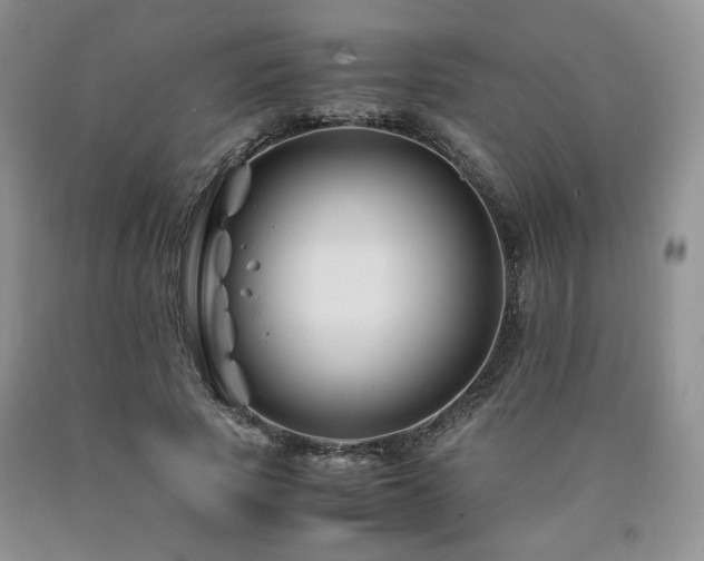 X0000090760737200707201503