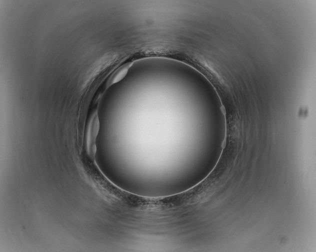 X0000090760738200707201503