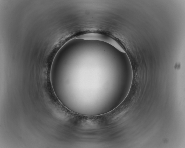 X0000090760739200707201503