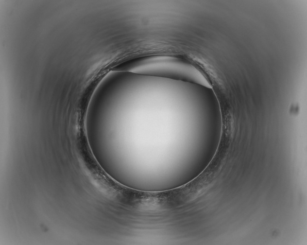 X0000090760740200707201503