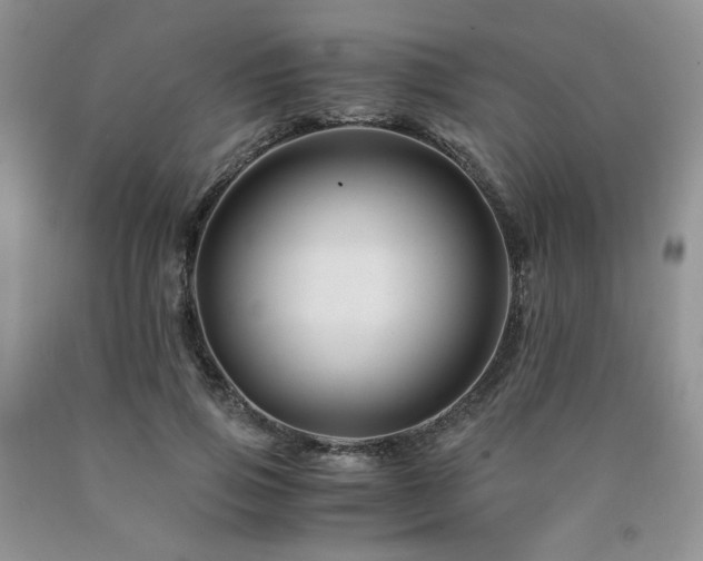 X0000090760741200707201503