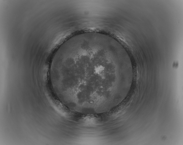 X0000090760742200707201503
