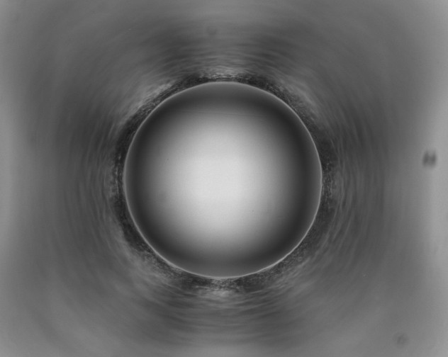 X0000090760743200707201503