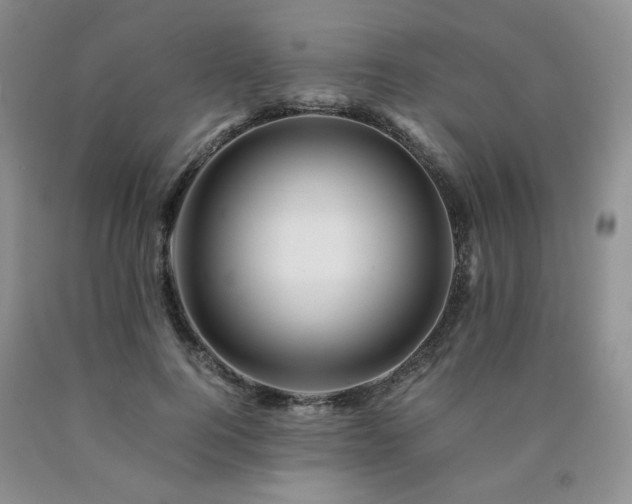 X0000090760744200707201503