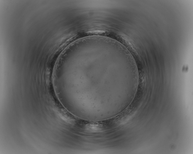 X0000090760745200707201503