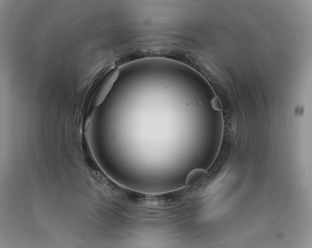 X0000090760746200707201503