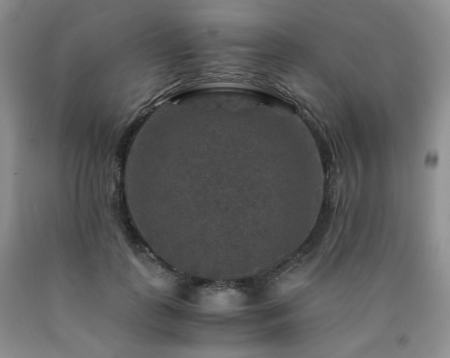 X0000090760747200707201503