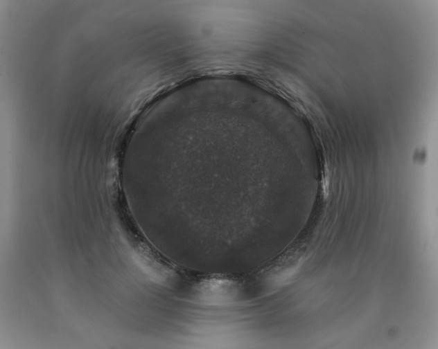 X0000090760748200707201503