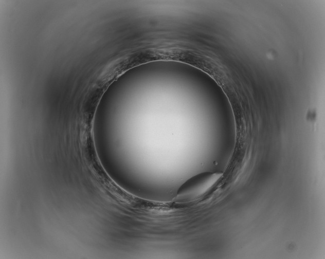 X0000090760749200707201503