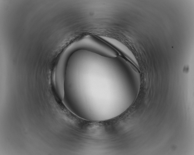 X0000090760750200707201503