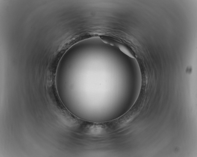 X0000090760751200707201503