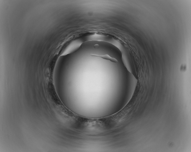 X0000090760752200707201503