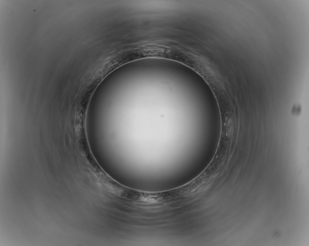 X0000090760753200707201503