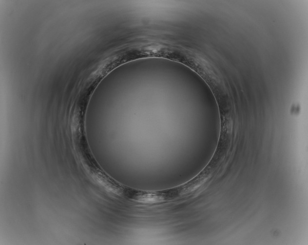 X0000090760754200707201503