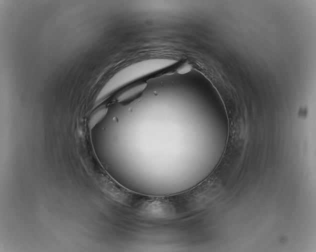 X0000090760755200707201503