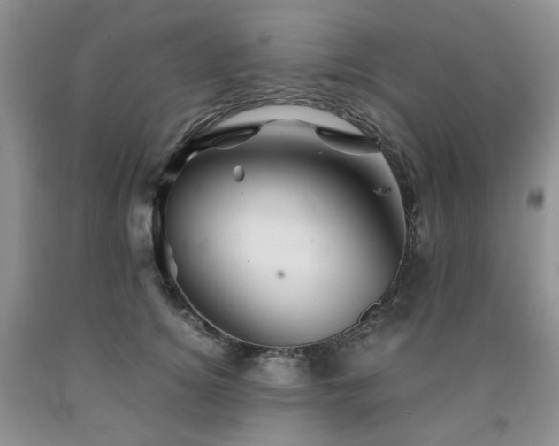 X0000090760756200707201503