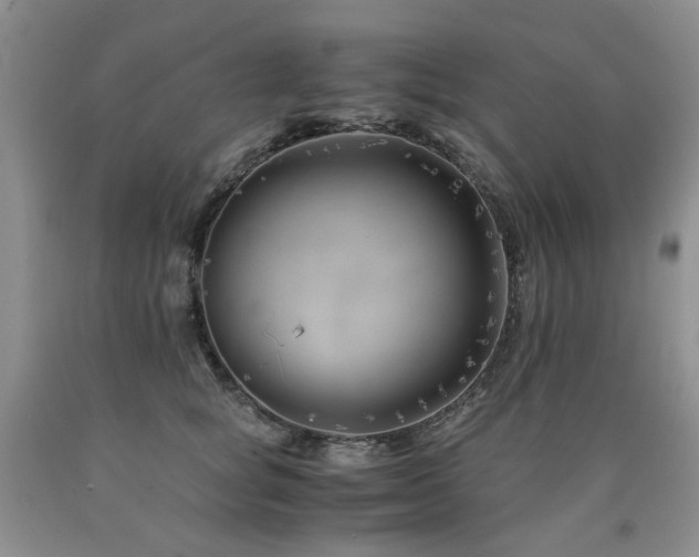 X0000090760757200707201503