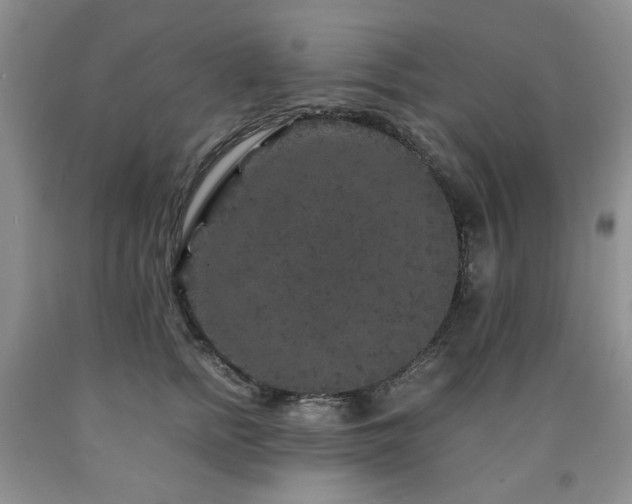 X0000090760758200707201503